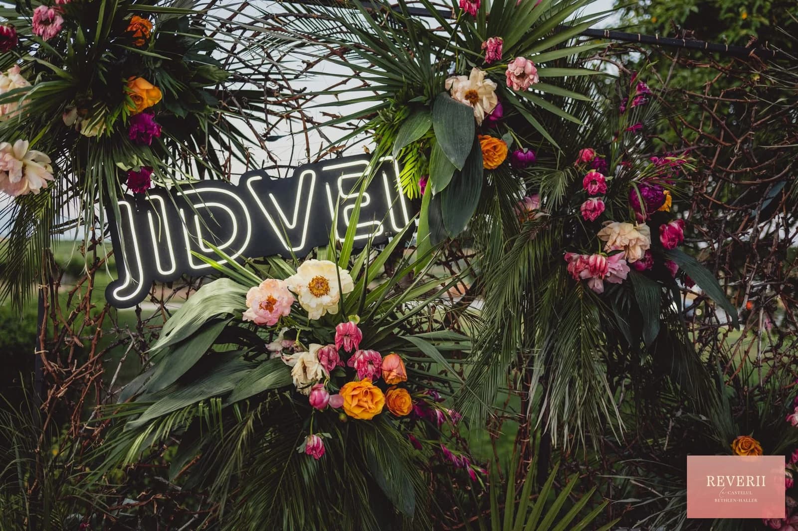 Neon Brand Jidvei